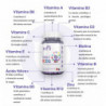 Daily Kids | Multivitamínico para niños | 60 Gummies