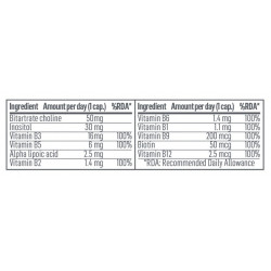 Vit B Complex | Complejo Multivitamínico | 60 Cápsulas