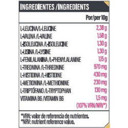 Aminoácidos Esenciales + Vitamina B6 | Master MAP | 400gr