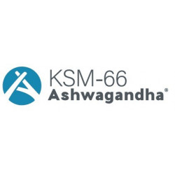 ASWHAGANDHA KSM-66 60 CAP.
